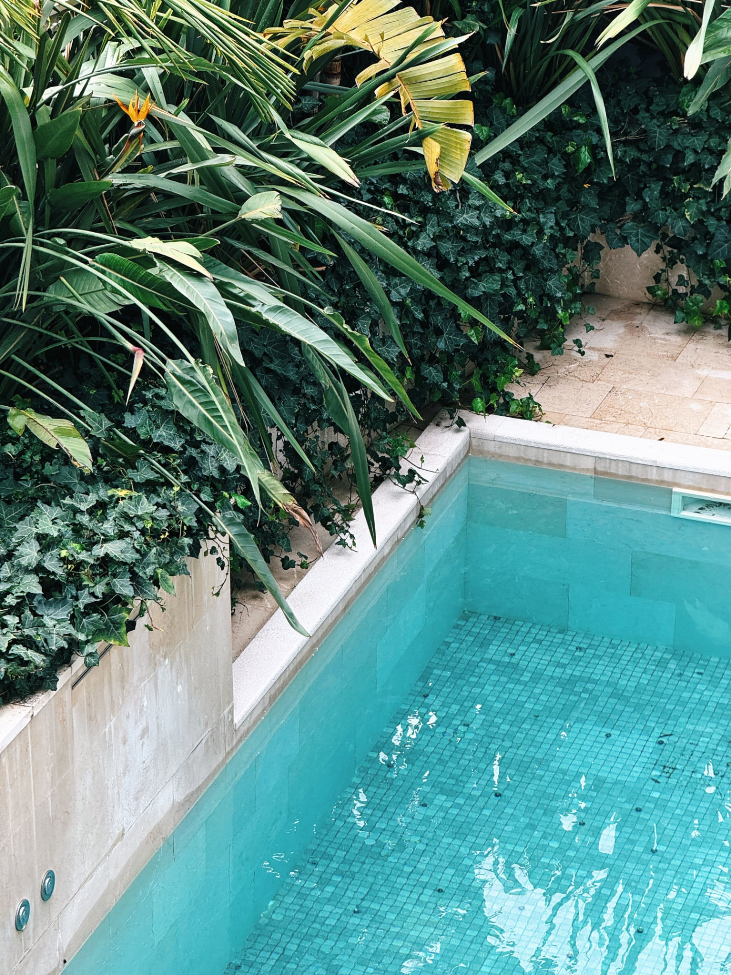 Piscina de jardim com bordadura em pedra clara, rodeada de vegetação e paredes revestidas a pedra.